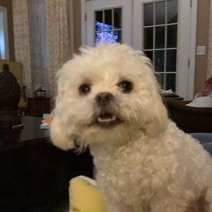 Meet your Posher, Sara